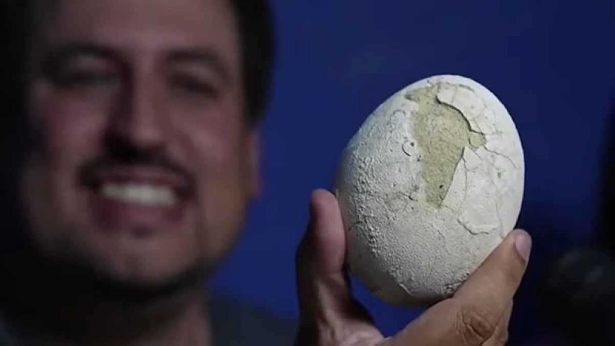 979df8dc b2bb 4591 aad0 a89e96dabbb8 file.jpg