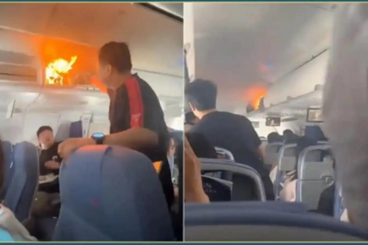 97c281e8 f3bb 4751 9843 51e2c5cd3a27 file.jpg