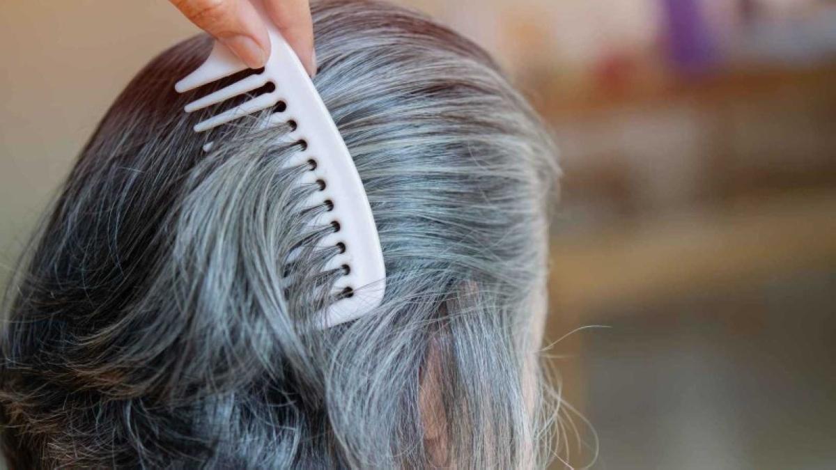 9997e90a 7e01 4f68 9546 23d0bab0e66a file.jpg