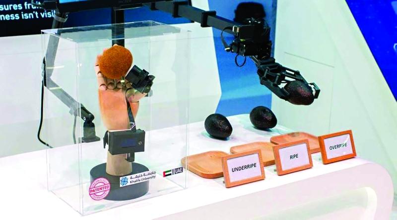 9a1fd889 55ff 496a 9e4e d5aac1f400af file.jpg