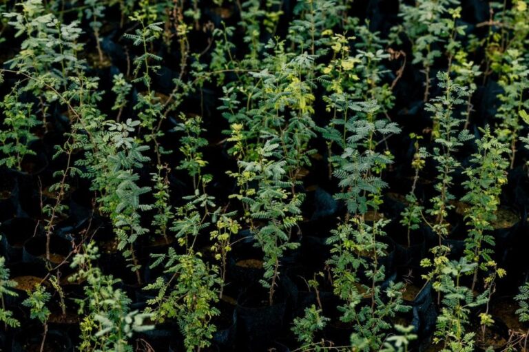 9d5e0c1b 64c8 4165 81e9 25e17a746bee file.jpg