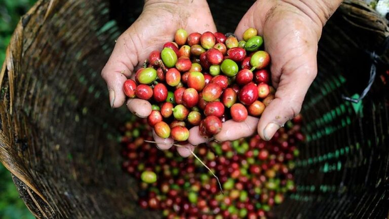 A024a612 833f 464f 823f 04c13dda0bf1 file.jpg