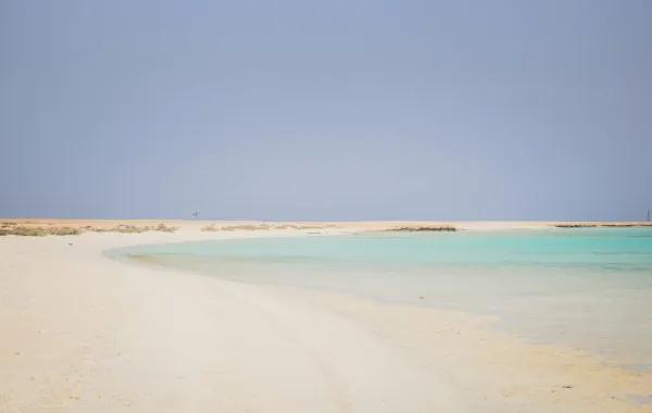 A07ae52a 429f 4f59 bb79 8df3cfeca858 file.jpg