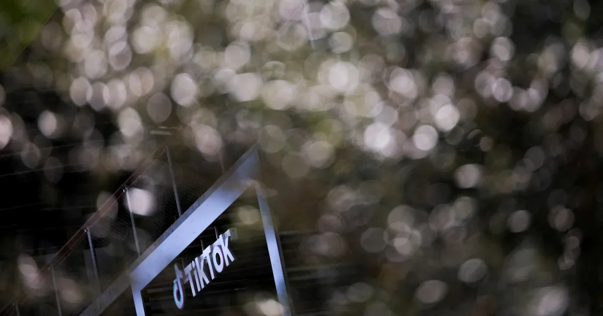 المفوضية الأوروبية تتهم ميتا وتيك توك بانتهاك قانون الخدمات الرقمية