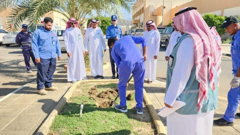 A5ff0d07 998d 4060 916f 75a60ee6d0e2 file.jpg