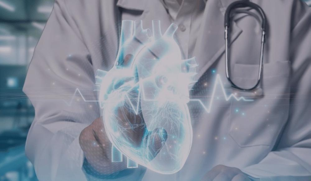 A67a86ae 8b89 4fba bde1 fb9c1a38a603 file.jpg