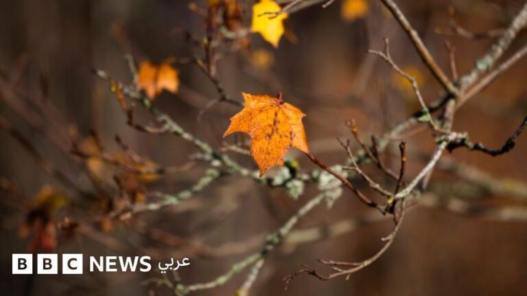 A69e7b0c db0e 4da7 8543 395d27cb3de9 file.jpg