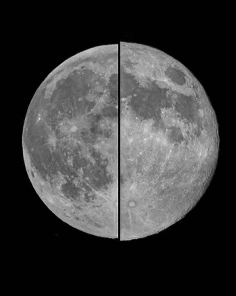 A8625931 81f2 4ef8 a355 6299aaa32bda file.jpg