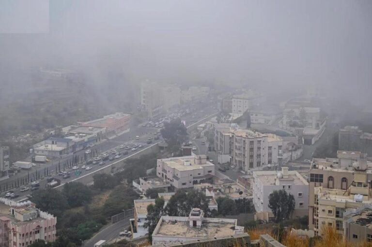 A877fa88 b883 4338 a39b 6a31a63a72fb file.jpg