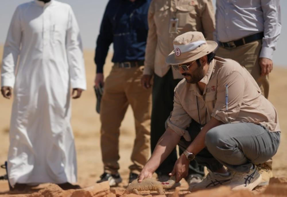 Ab99d7ba 31e0 442b 9ff0 5e237415cc17 file.jpg