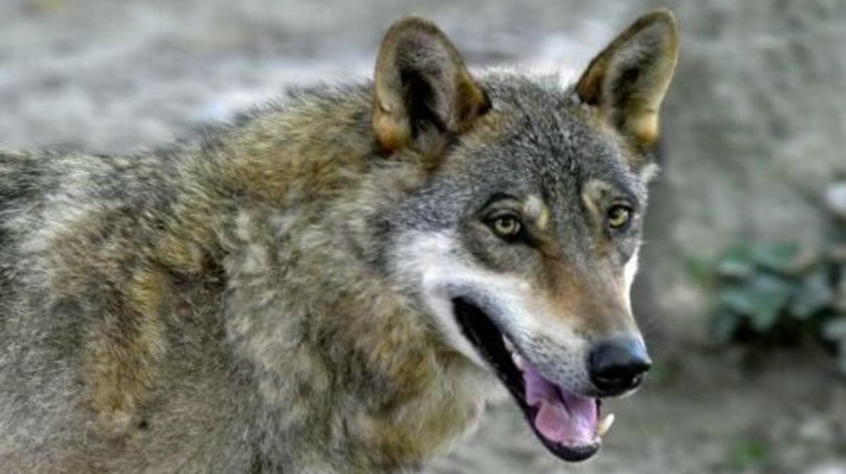 Abed25b7 162e 4d18 b5e7 4202c4388da2 file.jpg