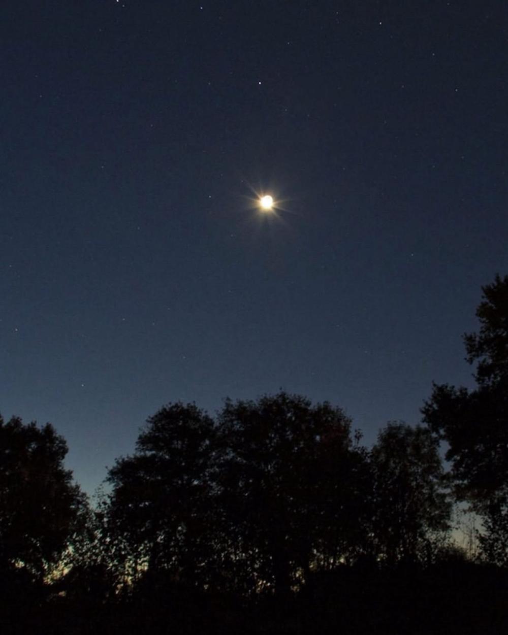 Ac486621 7eda 4a2d 8796 89d6403888ca file.jpg