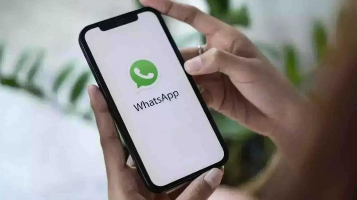 Ad9271e2 a164 42ac 929d dfb634b96fe9 file.jpg