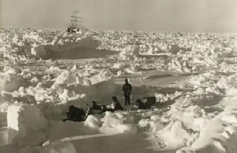 B18a6d13 2abc 43af b5c6 5842b81b9ed9 file.jpg