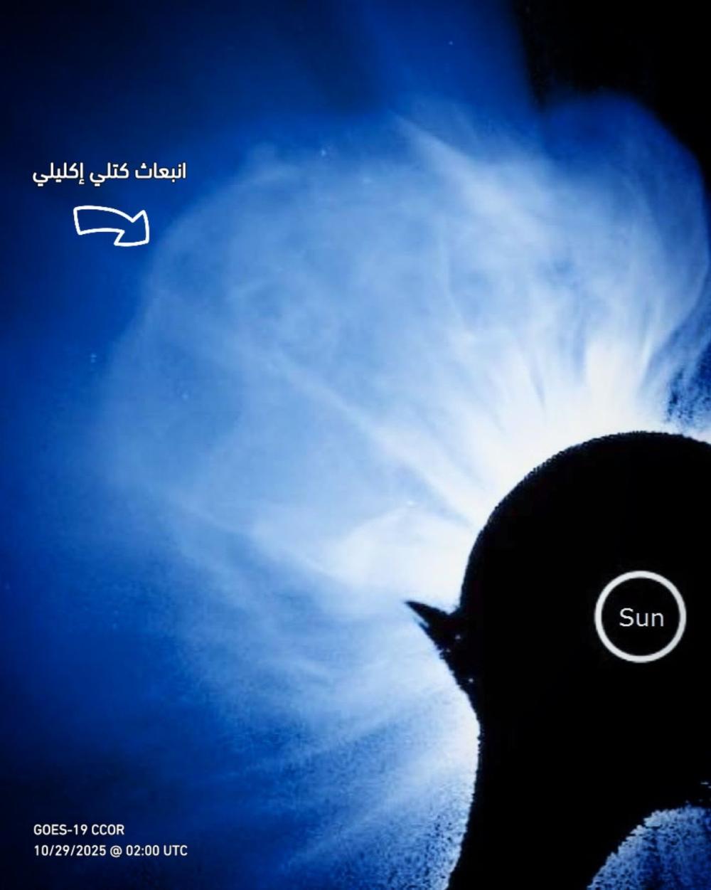 B229b9b4 3cfa 4f02 ae89 b93e03361a25 file.jpg