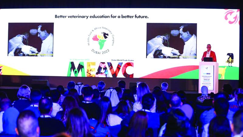 B2effa48 76d5 49fb 8e38 1d3ad2e57d0f file.jpg