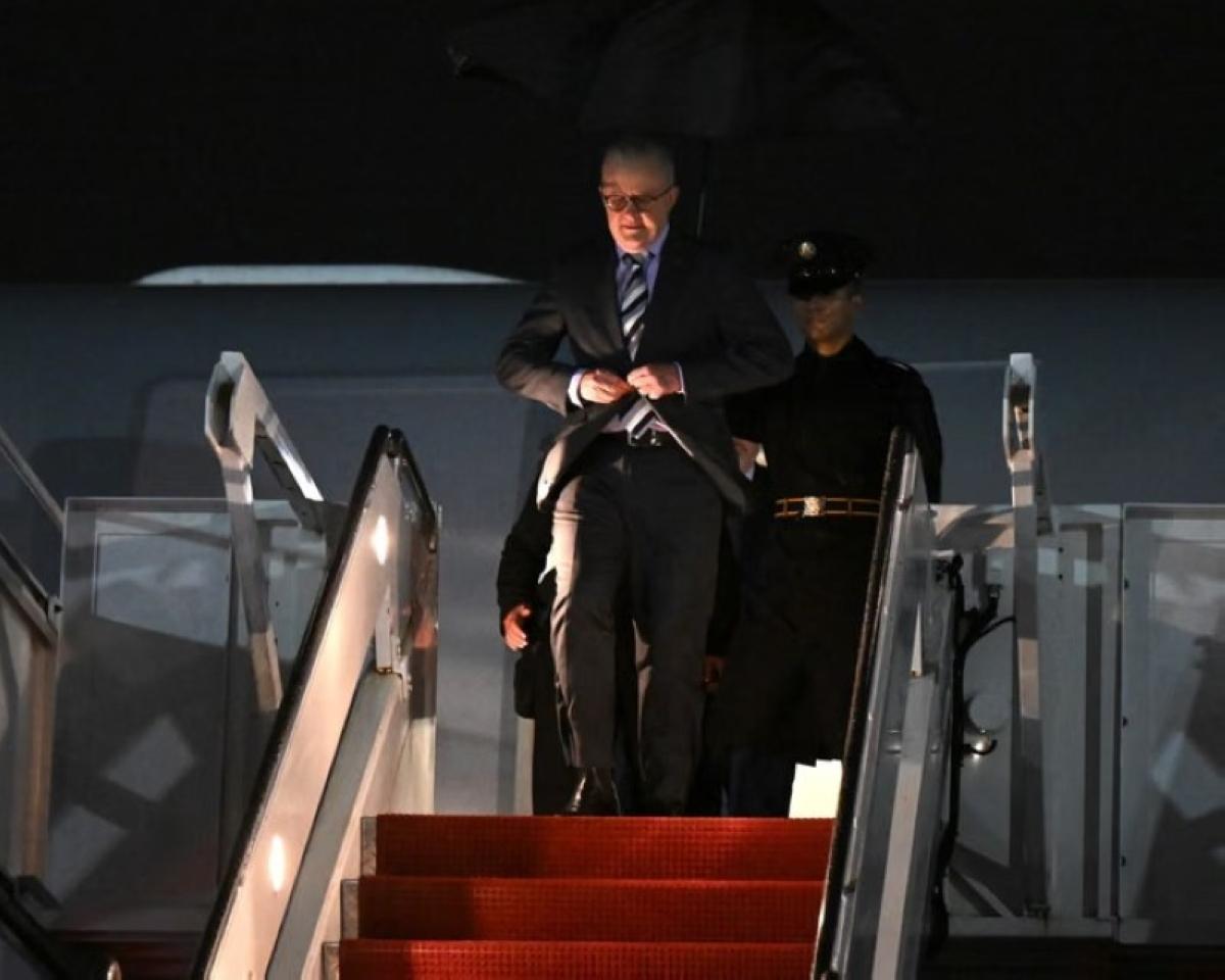 B39a7357 f743 4e7e 877e 0731ddba103c file.jpg