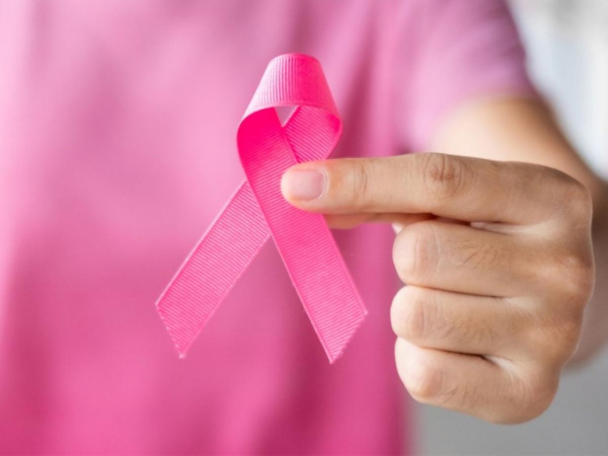 B3bb450c 3dec 4ea5 8981 da76f896141a file.jpg