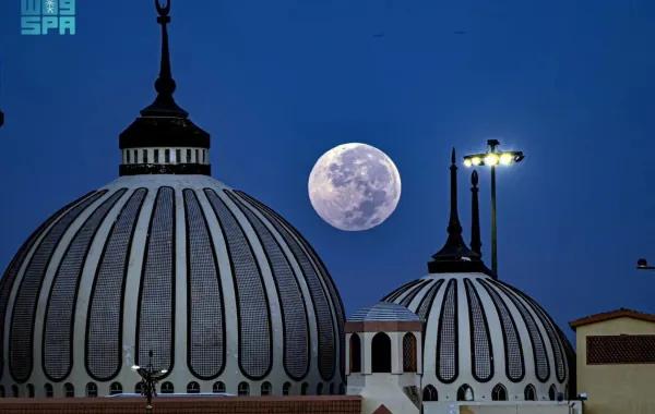 B44081c5 cda2 4364 8d60 bab5d3d0b96c file.jpg