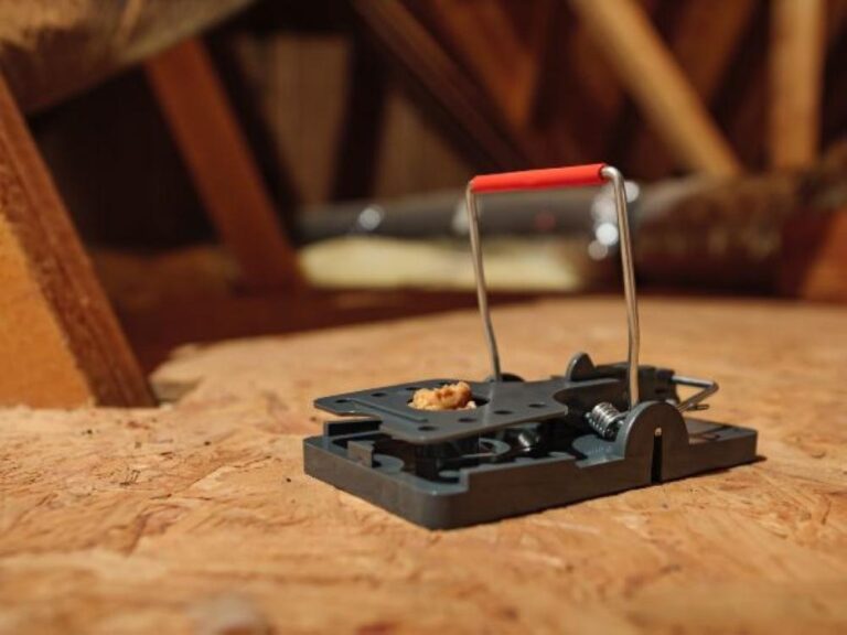 B6119d5c f66e 4d26 9183 e763d53b7564 file.jpg