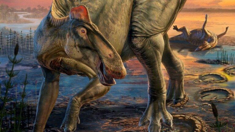 B611d755 97f9 481c bf70 1a60b7d9c506 file.jpg