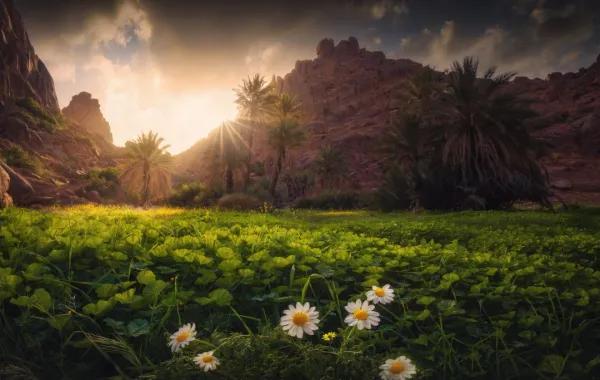 B79cb37a c2bb 4931 87bb c6904c18bd0f file.jpg