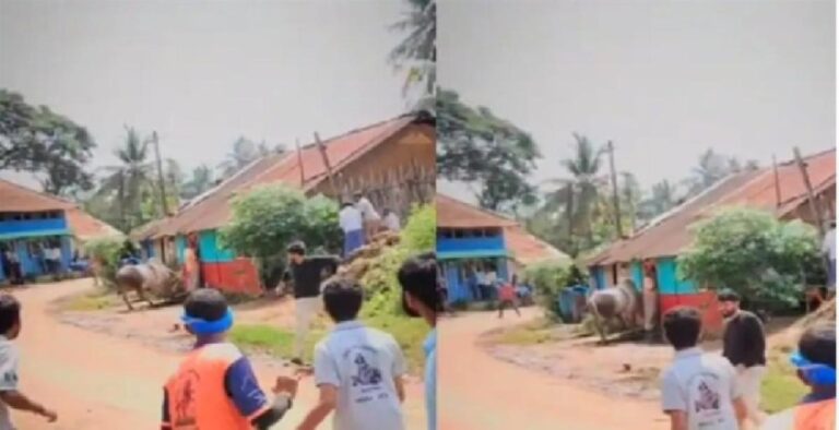 B7d60164 92f6 48c2 ab7c 7d43508126a7 file.jpg