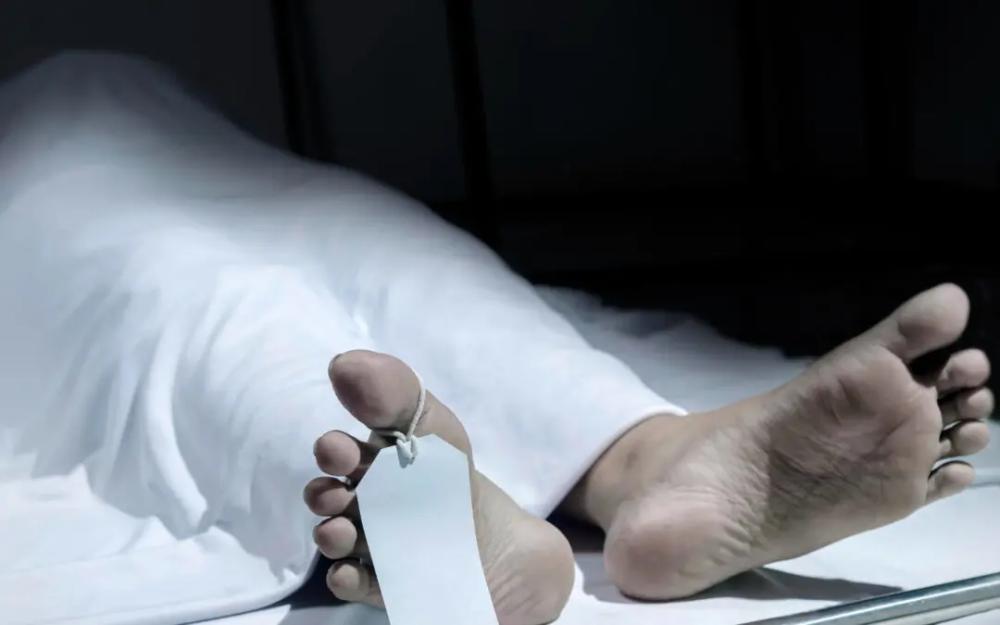 Ba340340 f43a 45e4 bafc 1d09595c93cc file.jpg