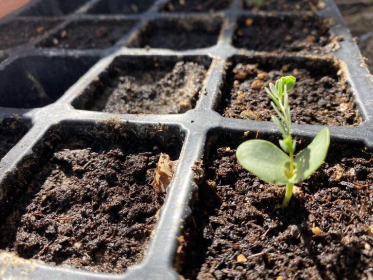 Baddf355 1bc5 4626 9c1e bf1f98dc9deb file.jpg