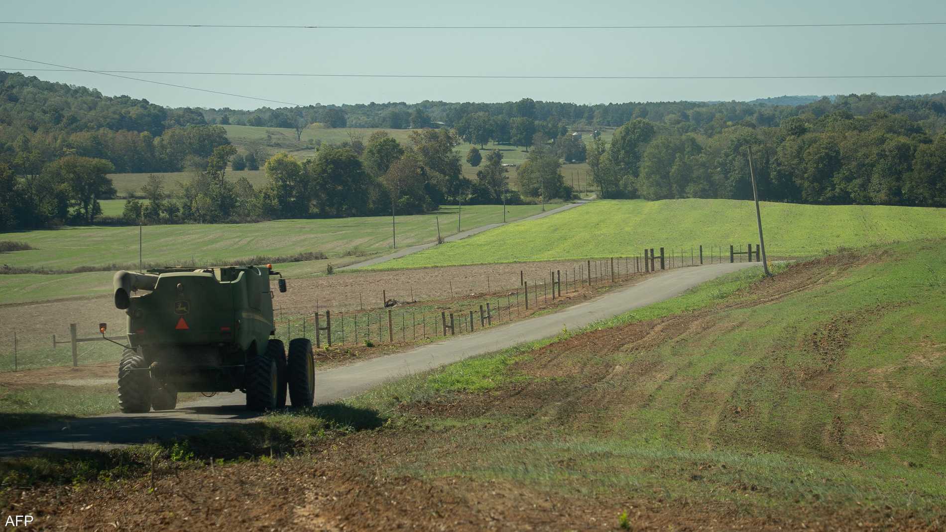 Bb473d60 7794 4ce9 a193 bb3fb0e3697d file.jpeg