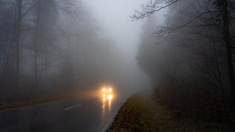 Bd9e8000 708c 4735 85c2 05f994866c28 file.jpg