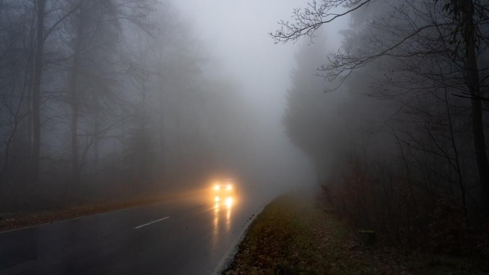 Bd9e8000 708c 4735 85c2 05f994866c28 file.jpg