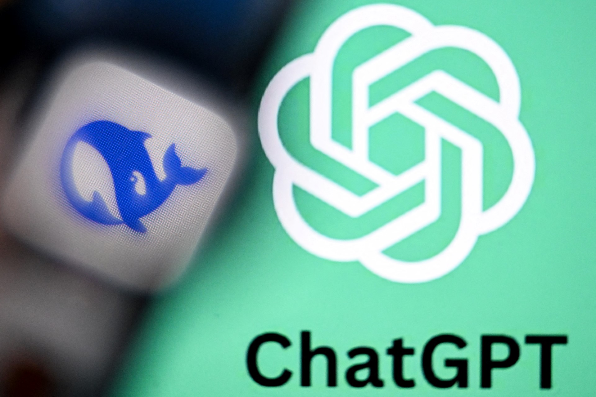 C20d799f afa6 4d36 a709 e634ddf3e3ad file.jpeg