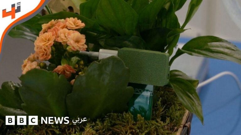 C27914f9 a81e 4b93 ac77 ec501bca056b file.jpg