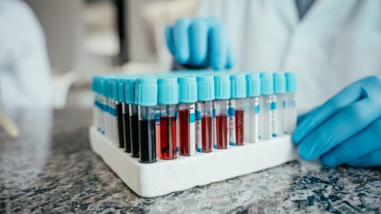 C70c009f ad6b 4438 a06a 6134a3b40e30 file.jpg