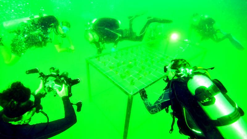 C8f62061 4321 42a5 81d6 76043dd19eb7 file.jpg