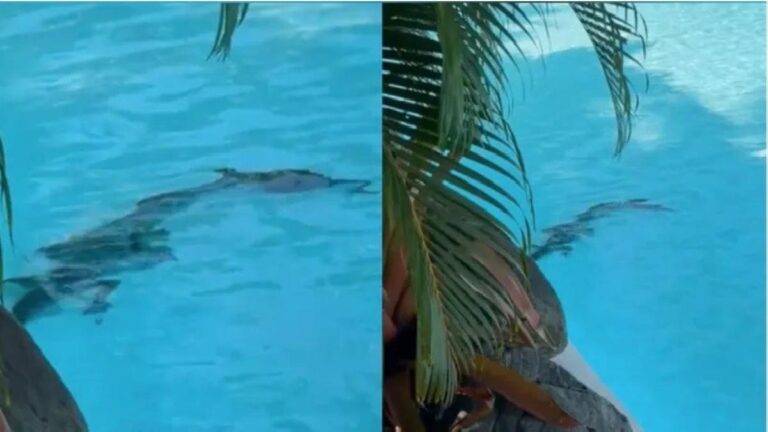 Cad268c6 50e7 4a19 89dd c195d8c50220 file.jpg