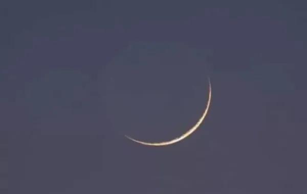 Ccd06358 09aa 4048 a9d5 b07e7122796d file.jpg