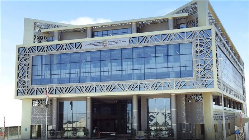 Cfe05160 53cd 43c6 9a2b 2d0ee5504c95 file.jpg