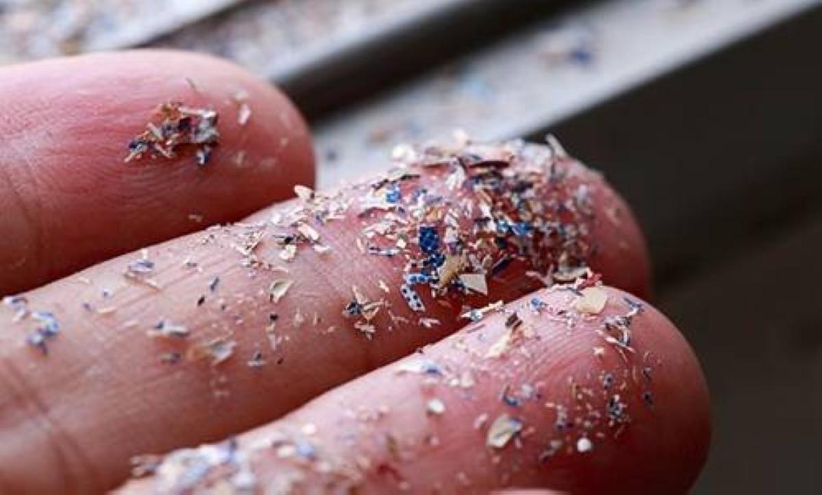 D037bb69 3b68 465e 840a 0c929edc398d file.jpg