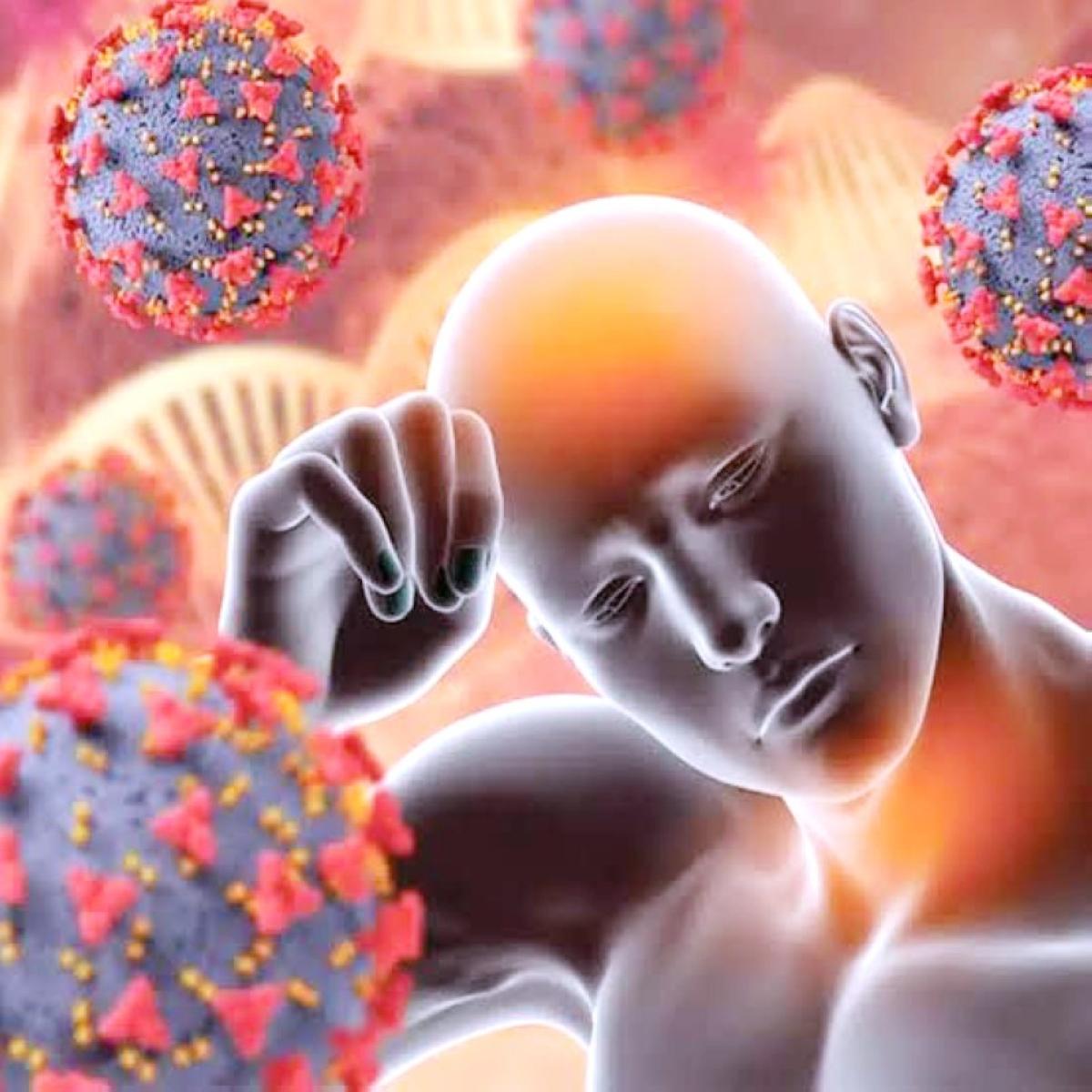 D0af9f1c 5b54 4d09 94a4 663344358636 file.jpg