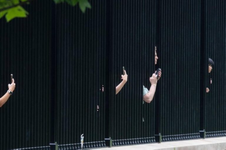 D2e8032c 19d3 4bd7 a5f8 de50fe2bcfad file.jpg