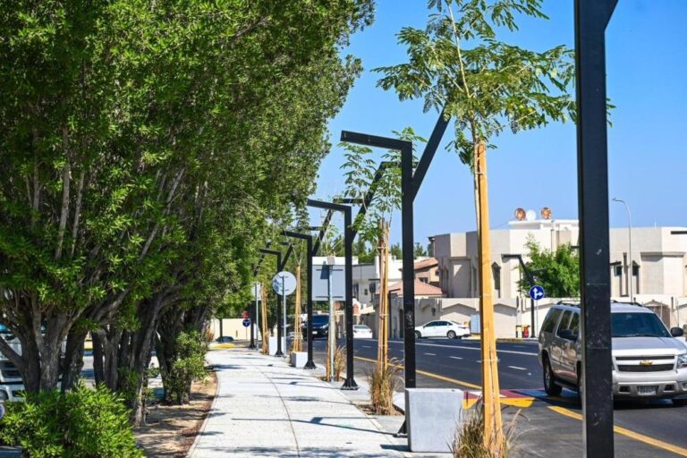 D4f571ba 6034 4ac6 a4e1 b740b8e69206 file.jpg