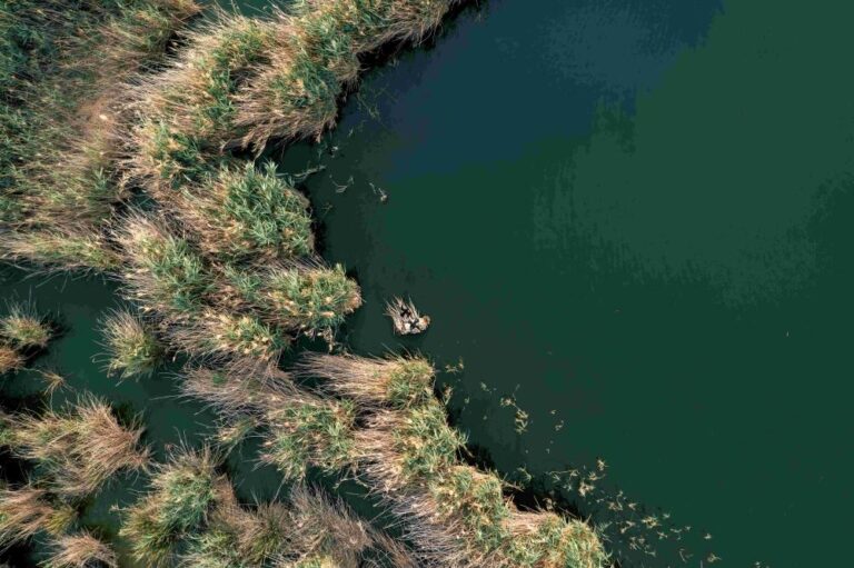 D771c213 0a14 49c1 9d6e 68b706c6faac file.jpg