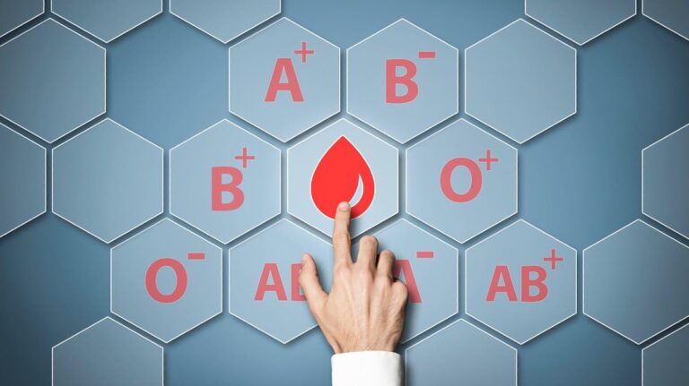 D79ad9fe 2f2a 4ad9 b24e 2dbcc56ede5b file.jpg