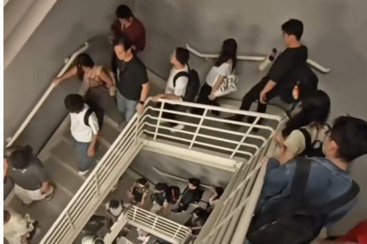 D81c75d5 5d16 4b56 b848 93300b3caf58 file.jpg