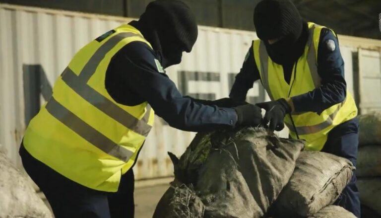 D83f9206 7fc3 4d6f 9763 3daa6c674f2f file.jpg