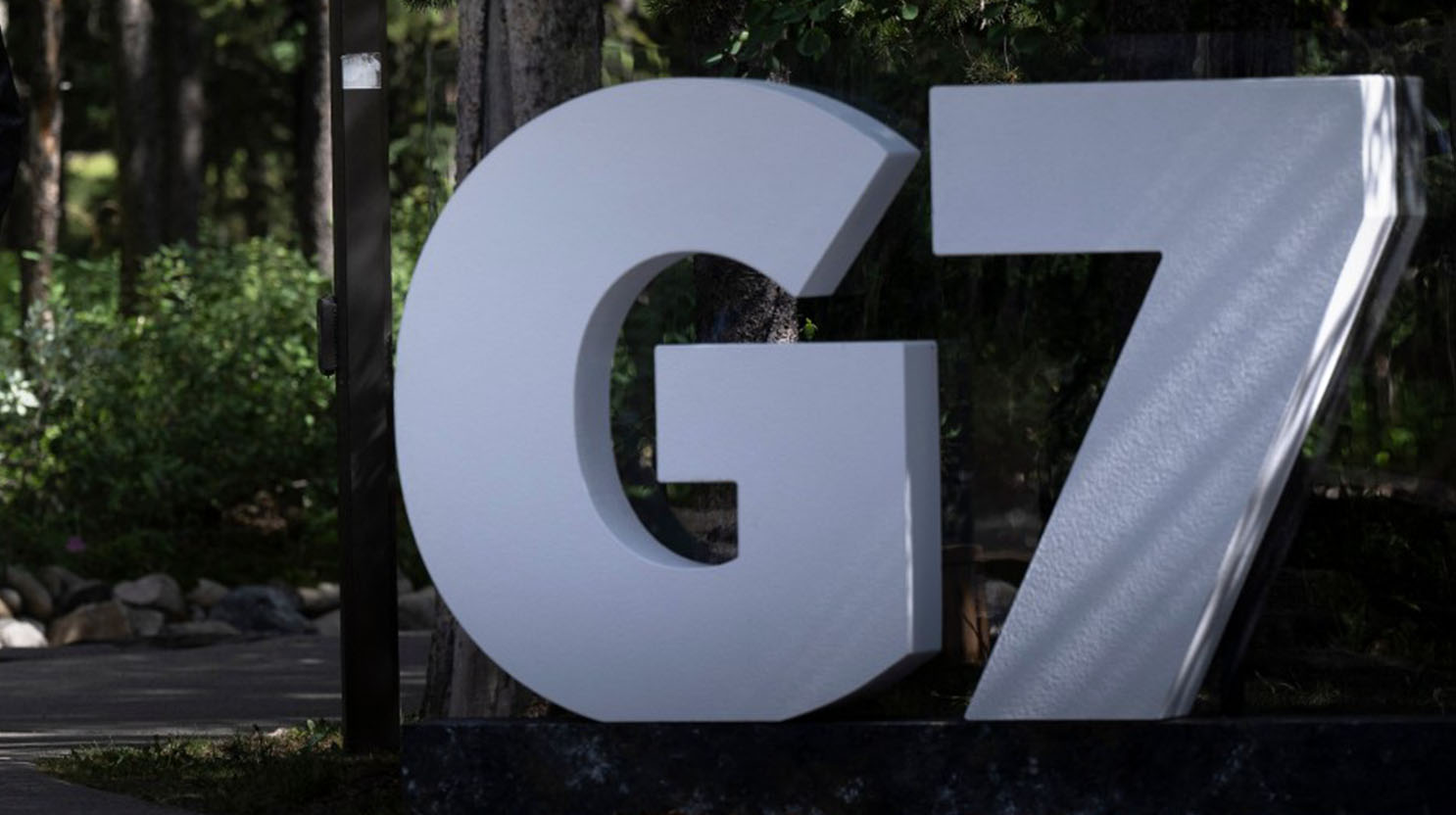 D99cd825 9c1d 469d a043 f5a44501b73c file.jpeg