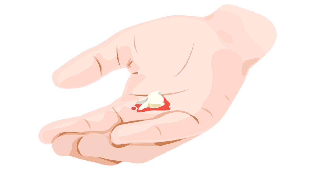 D9bdb19a 91eb 41fb bda7 dbb05ee8d2d8 file.jpg