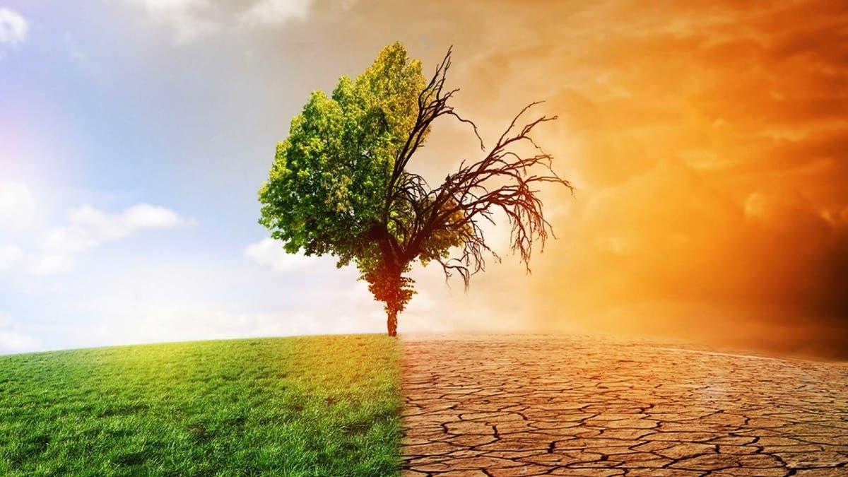 Dcf13047 0782 44a6 be4f 4a6507c9c6dd file.jpg